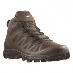 Chaussure Salomon Speed...