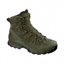 Chaussures Salomon Quest 4D...