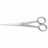 Ciseaux Premax Coiffeur