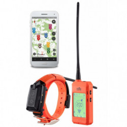 Collier GPS et de dressage...