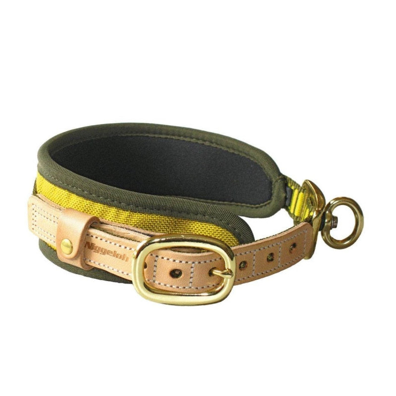 Collier Niggeloh chien de sang en néoprène armature alu