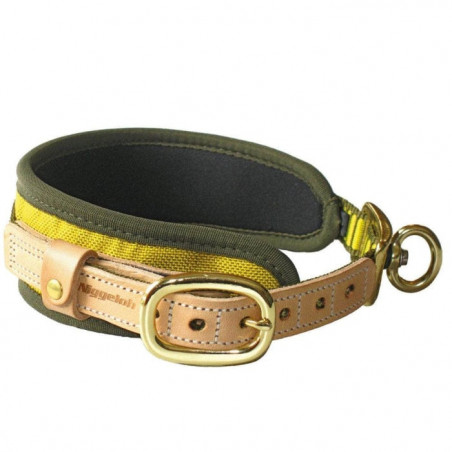 Collier Niggeloh chien de sang en néoprène armature alu