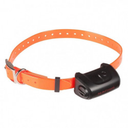 Collier supplémentaire...