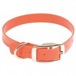 Colliers pour chiens...