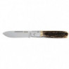Couteau Fallkniven GP - Gentleman Pocket - Lame 78mm