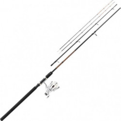 Ensemble Mitchell Gt Pro...