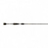 Ensemble Abu Garcia Carabus Delicate AG Spinning