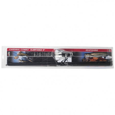 Ensemble Abu Garcia Cardinal Classic Seafishing