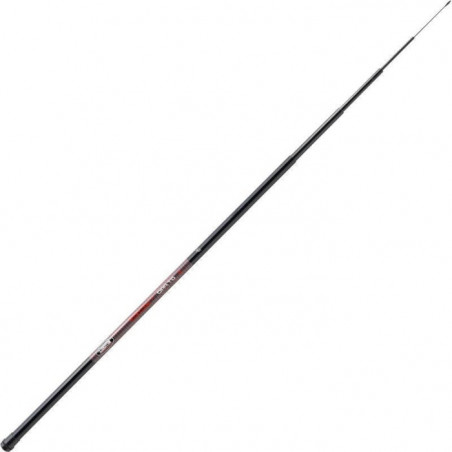 Ensemble canne au coup Mitchell GT Pro pole