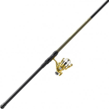 Ensemble canne téléscopique Mitchell GT Pro Light - Destockage