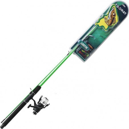 Ensemble canne téléscopique Mitchell RTF Target Brochet