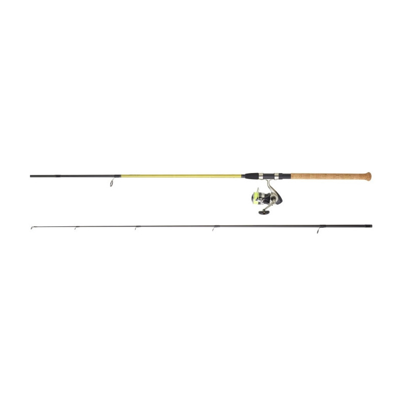Ensemble carnassier Daiwa Manie 02