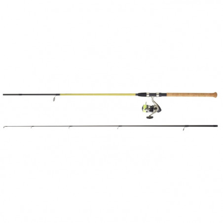 Ensemble carnassier Daiwa Manie 02