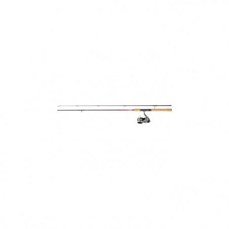 Ensemble carnassier Daiwa Samurai Df