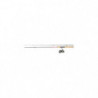Ensemble carnassier Daiwa Samurai Df