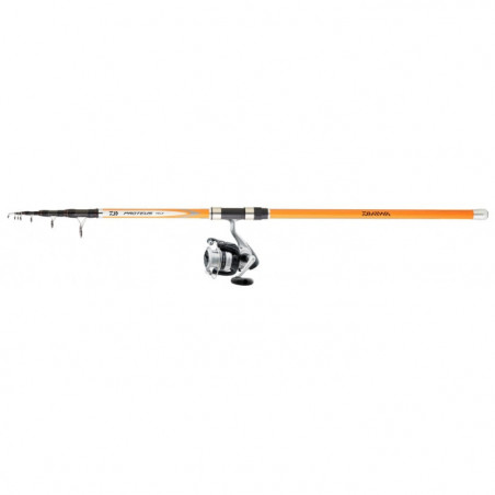 Ensemble carnassier posé Daiwa Téléscopique 02