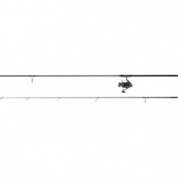 Ensemble carpe Daiwa 14/15