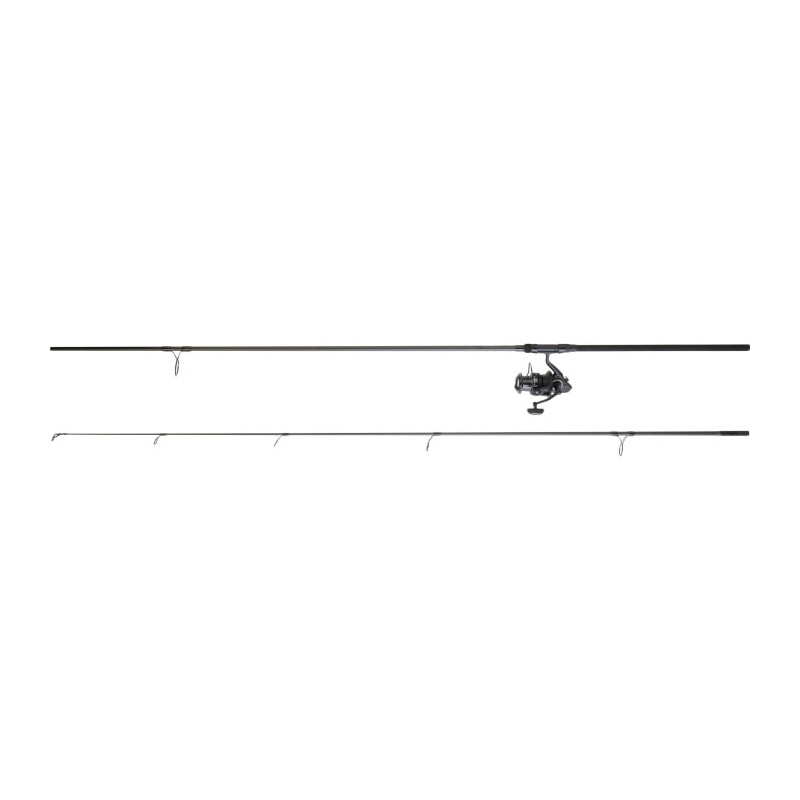 Ensemble carpe Daiwa 14/15