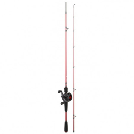 Ensemble casting Daiwa 24/25