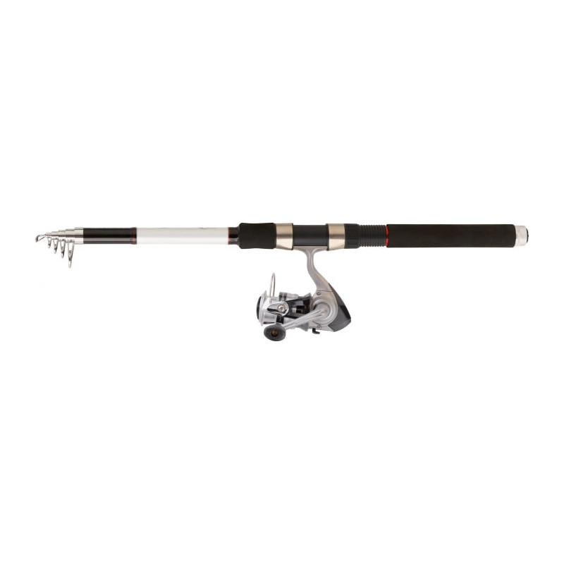 Ensemble Daiwa Buscle