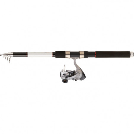 Ensemble Daiwa Buscle