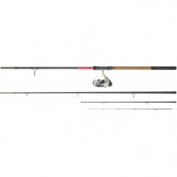Ensemble Daiwa Feeder 06