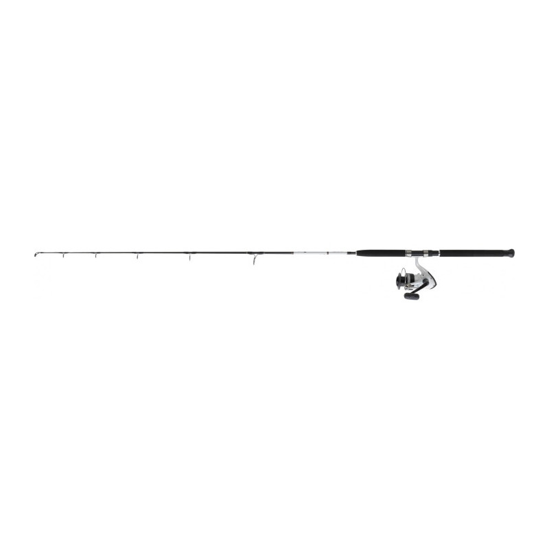 Ensemble Daiwa Jigging Dw04