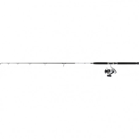 Ensemble Daiwa Jigging Dw04