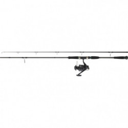 Ensemble Daiwa Silure 05
