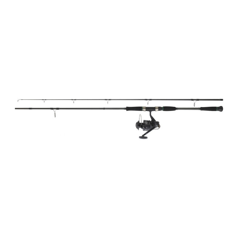 Ensemble Daiwa Silure 05