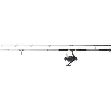 Ensemble Daiwa Silure 05