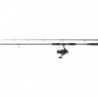Ensemble Daiwa Silure 05