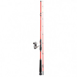 Ensemble Daiwa Squid