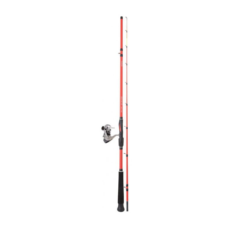 Ensemble Daiwa Squid