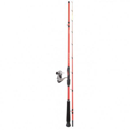 Ensemble Daiwa Squid
