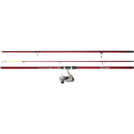 Ensemble Daiwa Surf