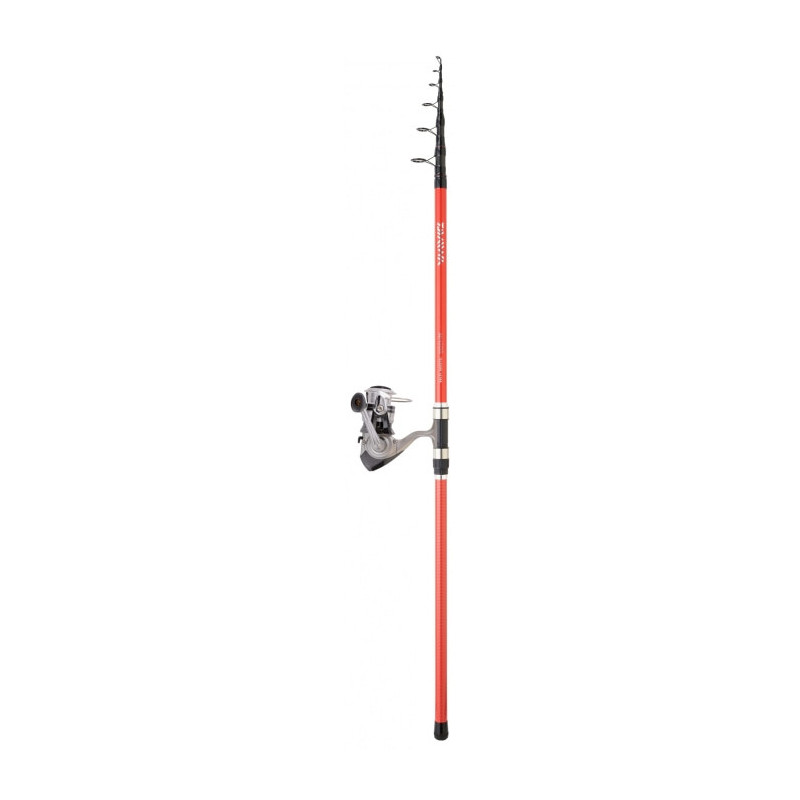 Ensemble Daiwa Surf Télescopique