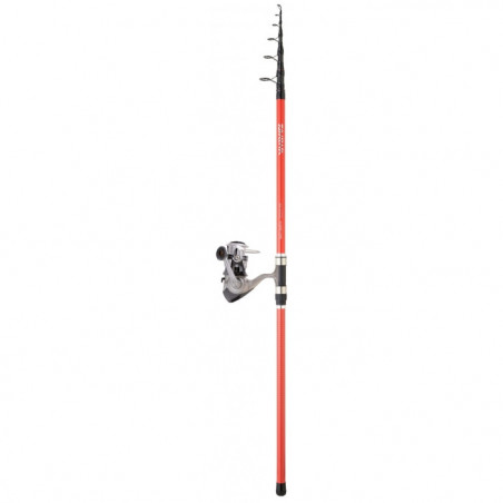 Ensemble Daiwa Surf Télescopique