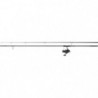 Ensemble Set Carpe 08 Daiwa D-Carp 12 ft