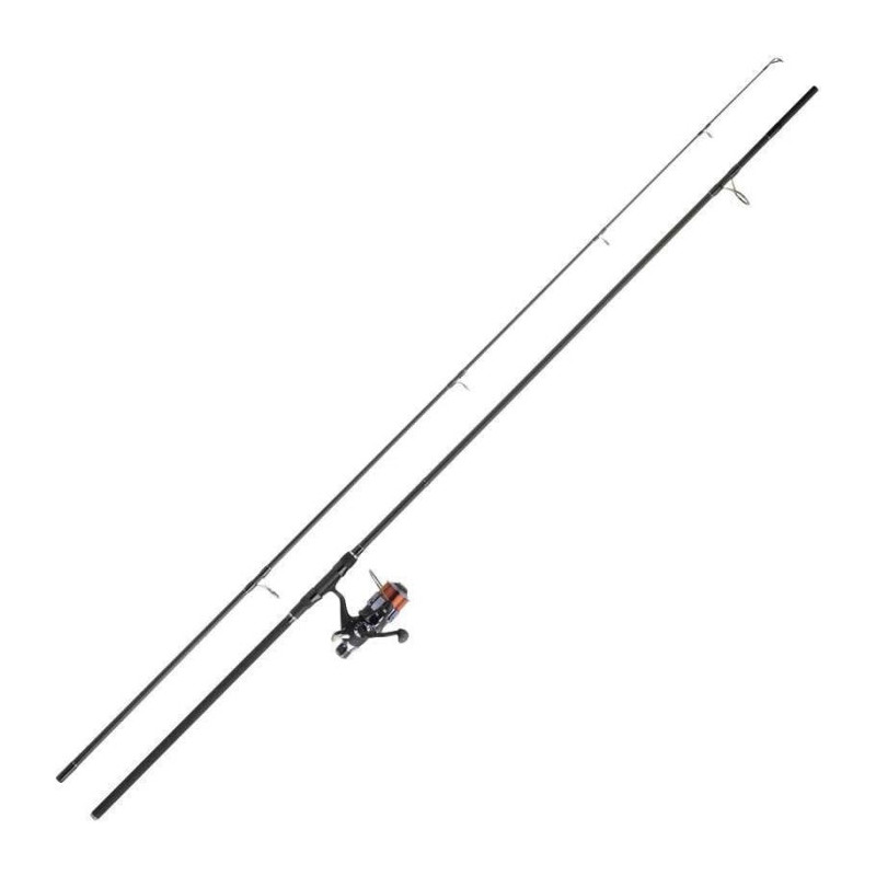 Ensemble Set Carpe 11 Daiwa D-Carp 12 ft
