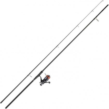 Ensemble Set Carpe 11 Daiwa D-Carp 12 ft