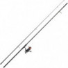 Ensemble Set Carpe 11 Daiwa D-Carp 12 ft