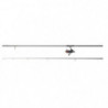 Ensemble Set Carpe 11 Daiwa D-Carp 12 ft