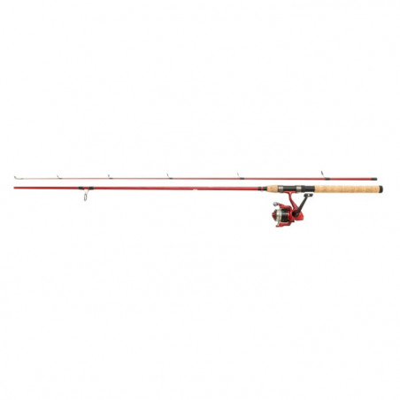 Ensemble spinning Berkley Cherrywood
