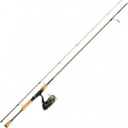 Ensemble Spinning Daiwa...