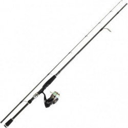 Ensemble Spinning Daiwa...