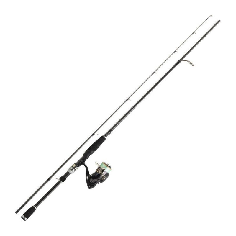 Ensemble Spinning Daiwa Pack Tsuki 03 Exceler carbonne