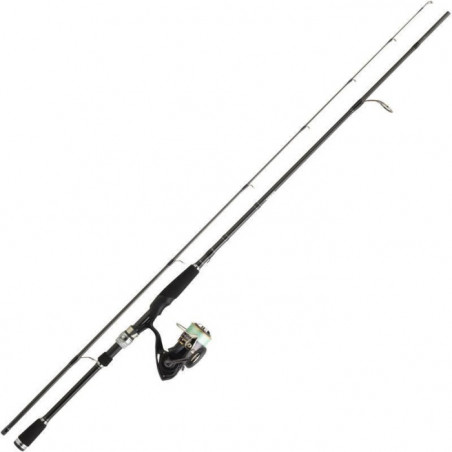 Ensemble Spinning Daiwa Pack Tsuki 03 Exceler carbonne