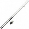 Ensemble Spinning Daiwa Pack Tsuki 03 Exceler carbonne