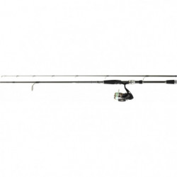 Ensemble Spinning Daiwa Pack Tsuki 03 Exceler carbonne
